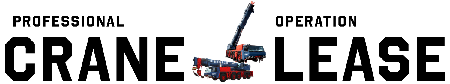 PROFESSIONAL CRANE  OPERATION lease