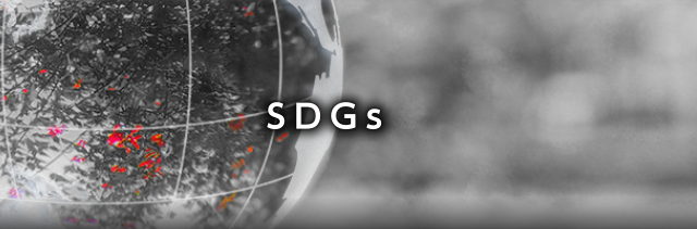 SDGs
